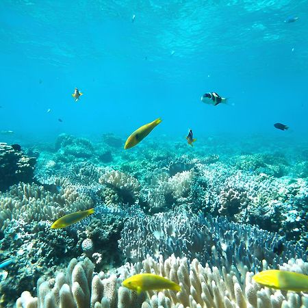 ホテル 美ら海オンザビーチ 本部町 エクステリア 写真